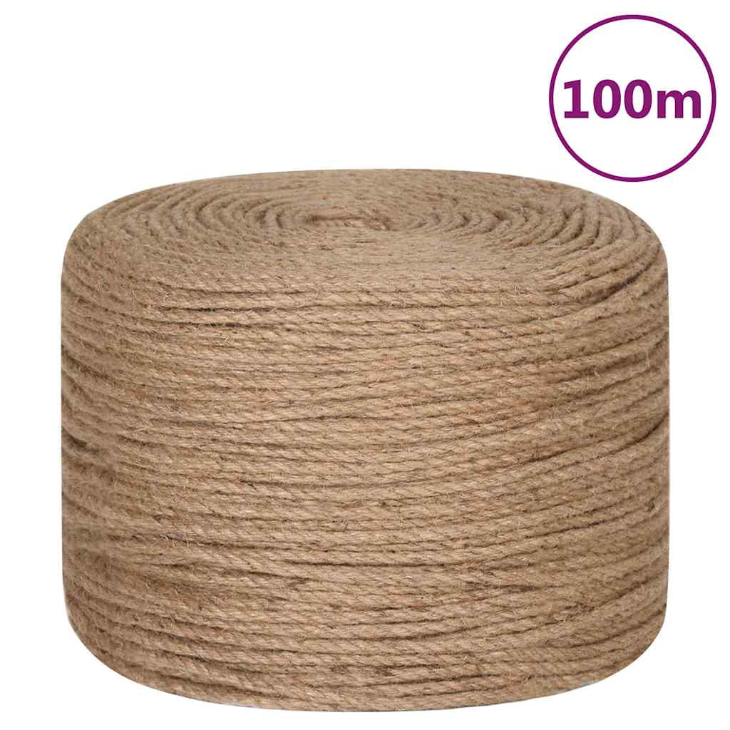 Vidaxl Rope de 100 m de largo y 4 mm de grosor de grosor