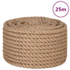 Vidaxl touw 25 m lang 20 mm dik jute