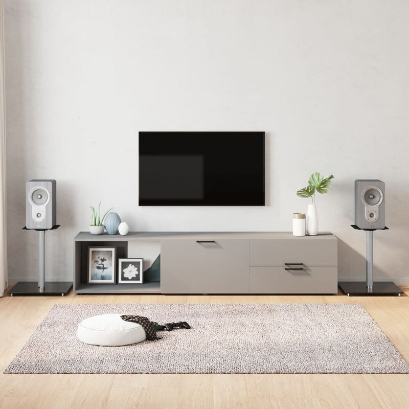 Estándares de altavoz Vidaxl 2 PCS 1 Pilar de vidrio endurecido negro y plata