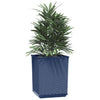 Plantadores Vidaxl 2 ST 30X30X37 CM Polypropene Dark Grey
