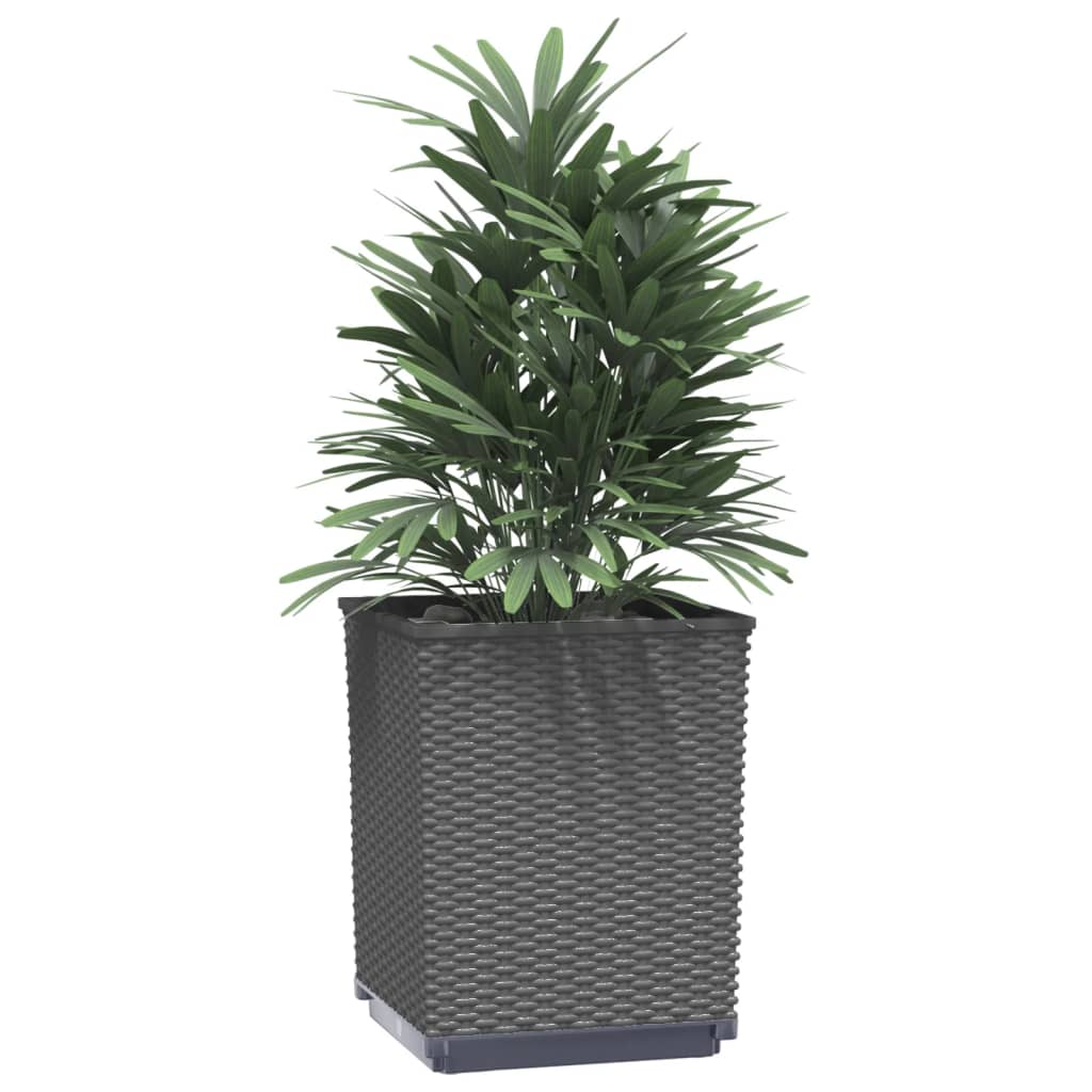 Vidaxl Fioters 2 St 30x30x37 cm Polypropene Black