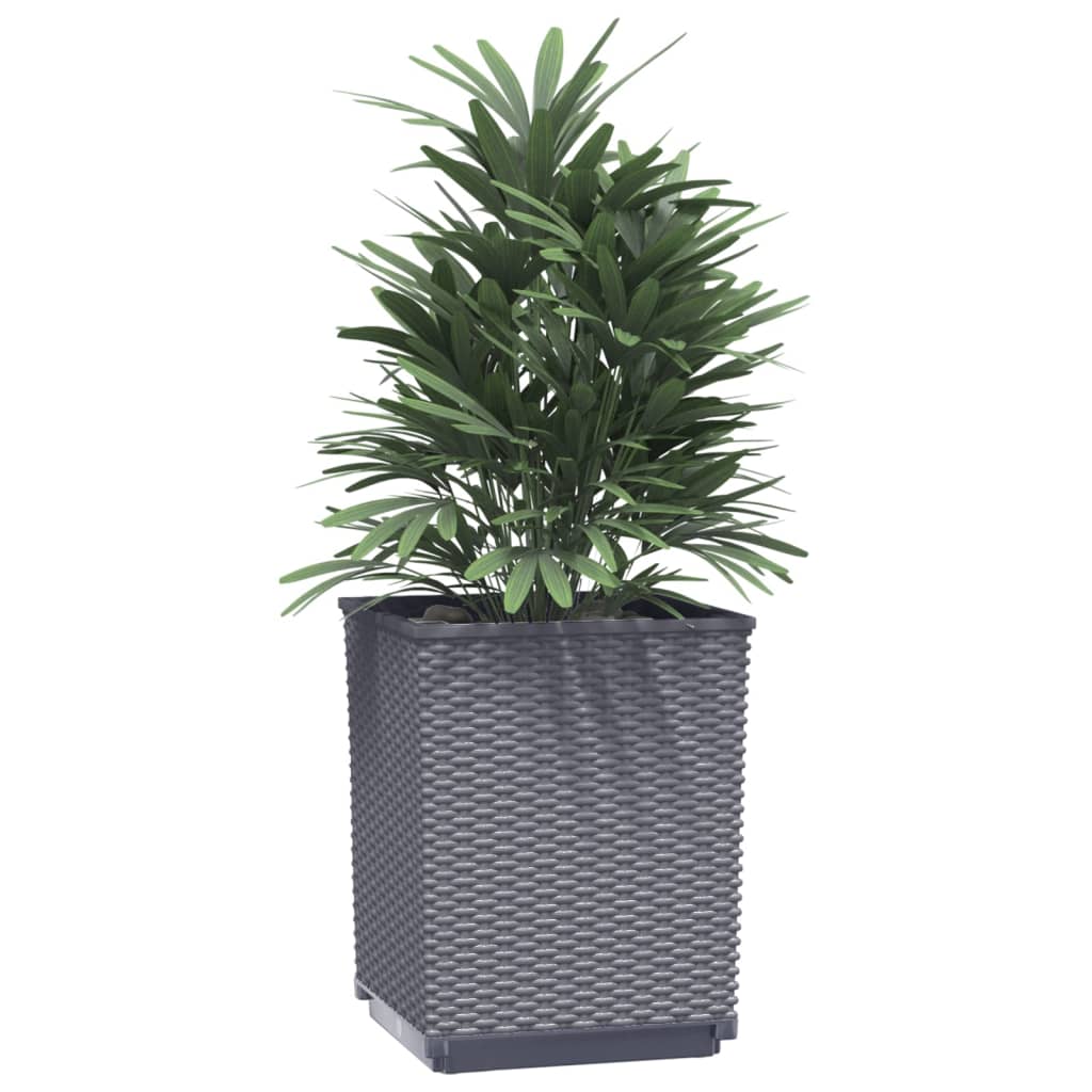 Vidaxl fioriere 4 St 30x30x37 cm Polypropene Grigio scuro