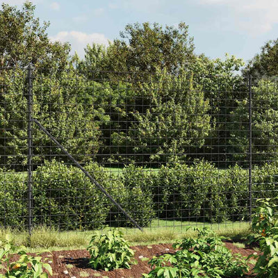 Vidaxl Mesh Mesh FET 1.6x10 M de acero galvanizado antracita