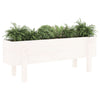 Vidaxl plantenbak verhoogd 101x30x38 cm massief grenenhout wit