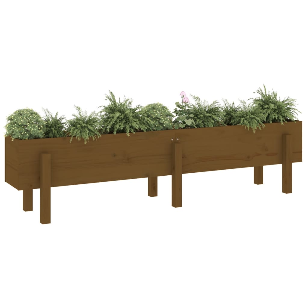 Vidaxl fioriera raccolta 160x30x38 cm Miele di pino solido marrone