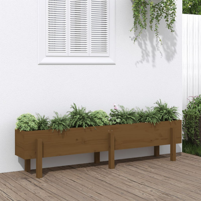 Vidaxl fioriera raccolta 160x30x38 cm Miele di pino solido marrone