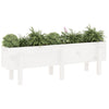 Plantador Vidaxl elevado 121x30x38 cm Pino sólido White