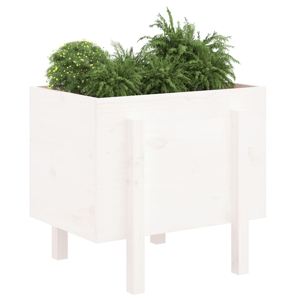 Casella di pianificazione Vidaxl 62x50x57 cm Pino solido