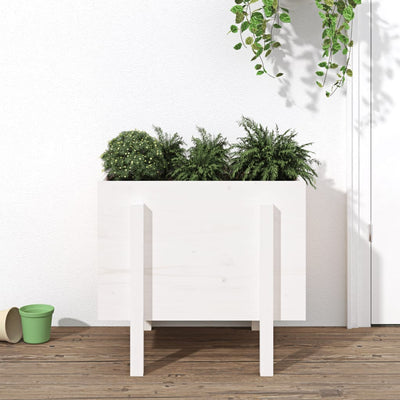 Casella di pianificazione Vidaxl 62x50x57 cm Pino solido