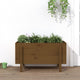 Vidaxl Planning box raised 101x50x57 cm Solid pine honey brown