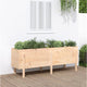 Vidaxl Planter raised 160x50x57 cm Solid pine