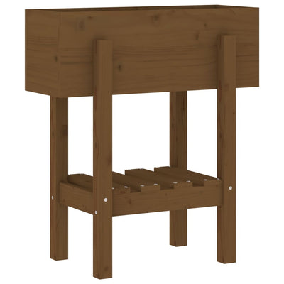 Casella di pianificazione Vidaxl 62x30x69 cm Miele di pino solido