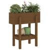 Casella di pianificazione Vidaxl 62x30x69 cm Miele di pino solido