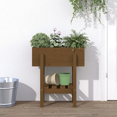 Casella di pianificazione Vidaxl 62x30x69 cm Miele di pino solido