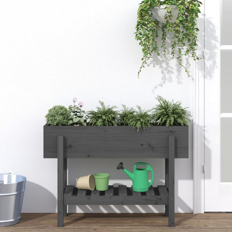 Plantador Vidaxl elevado 101x30x69 cm de pino sólido gris