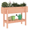 Vidaxl fioriera raccolta 101x30x69 cm solido Douglashout