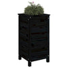 Casella di pianificazione Vidaxl 40x40x78 cm Pino solido nero