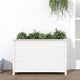 Vidaxl Planter raised 119.5x40x78 cm Solid pine white