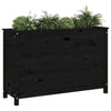Vidaxl Planter recaudó 119.5x40x78 cm de pino sólido