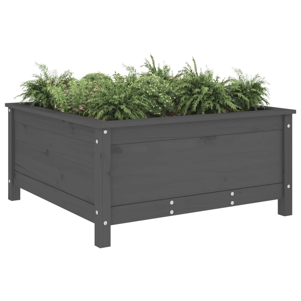 Casella di pianificazione Vidaxl 82.5x82.5x39 cm Pinna solido