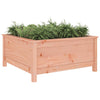 Casella di pianificazione Vidaxl 82.5x82.5x39 cm Solid Douglashout
