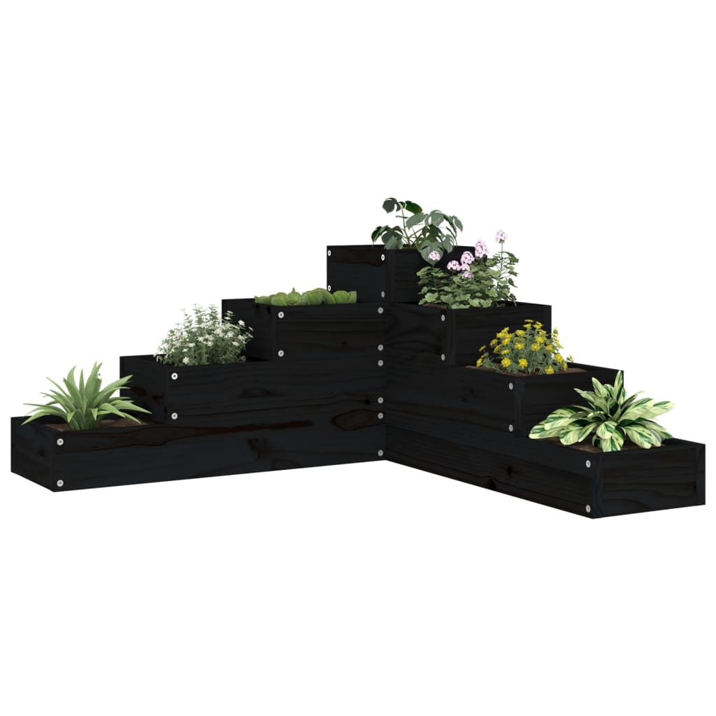 Vidaxl Planning Box a 4 strati 80.5x79x36 cm Pino in legno di pino nero