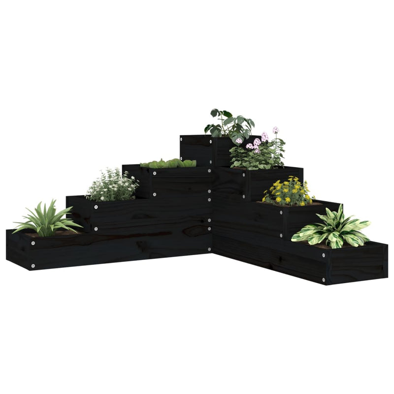 Vidaxl Planning Box a 4 strati 80.5x79x36 cm Pino in legno di pino nero