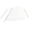 Vidaxl tuinkas met stalen frame 6 m² 3x2x2 m