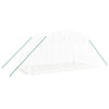 Vidaxl tuinkas met stalen frame 8 m² 4x2x2 m