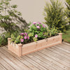 Vidaxl fioriera sollevata con fodera 120x45x25 cm Pineo solido
