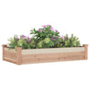 Vidaxl fioriera allevata con fodera 120x60x25 cm Pineo solido