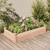 Vidaxl fioriera allevata con fodera 120x60x25 cm Pineo solido