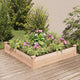 Vidaxl fioriera sollevata con fodera 120x120x25 cm Pineo solido