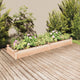 Vidaxl fioriera sollevata con fodera 240x60x25 cm Pineodo solido