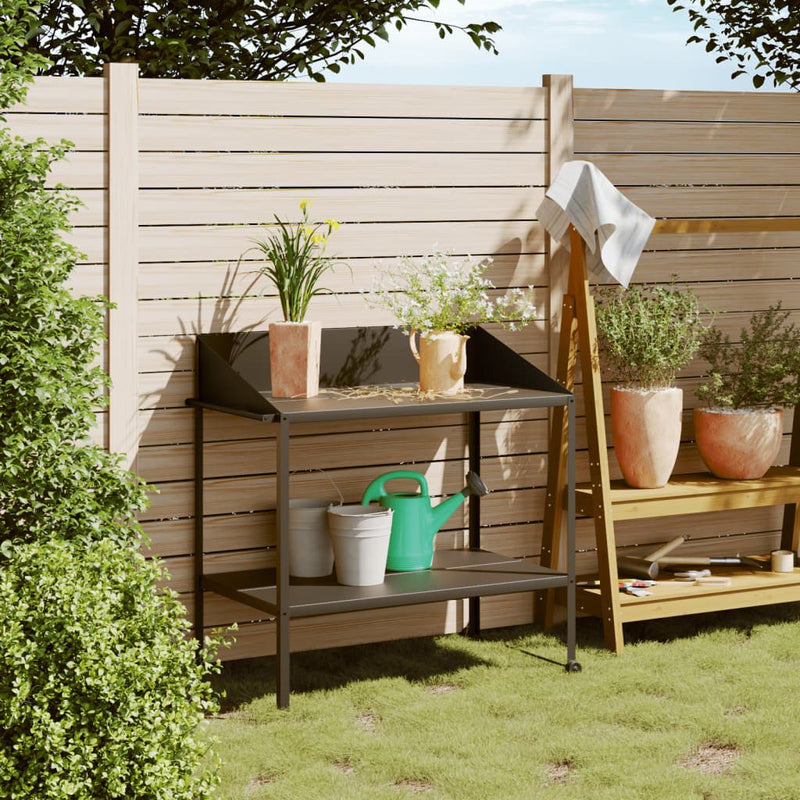 Vidaxl Plant Standard 100x54.5x100 cm Colore antracite in acciaio zincato