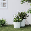Planificador de Vidaxl con Bak Rattan Bak Look 15 15.3 L PP White