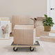 Vidaxl Muebles Perros 2 St Rectangular 250 kg 50x35x11.5 cm