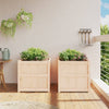 Vidaxl Plantadores 2 PC CM Solid Pine