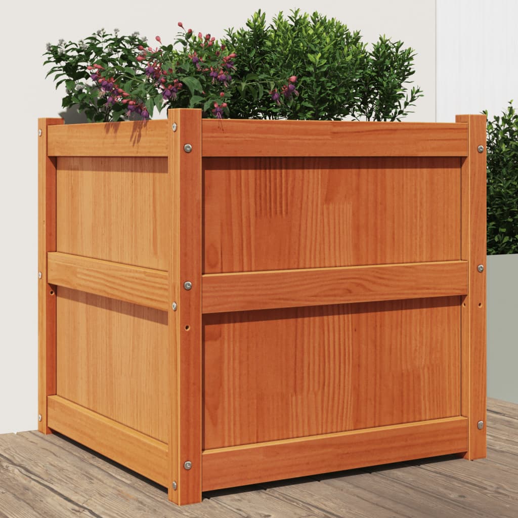 Casella di pianificazione Vidaxl 60x60x60 cm cera di pino solido