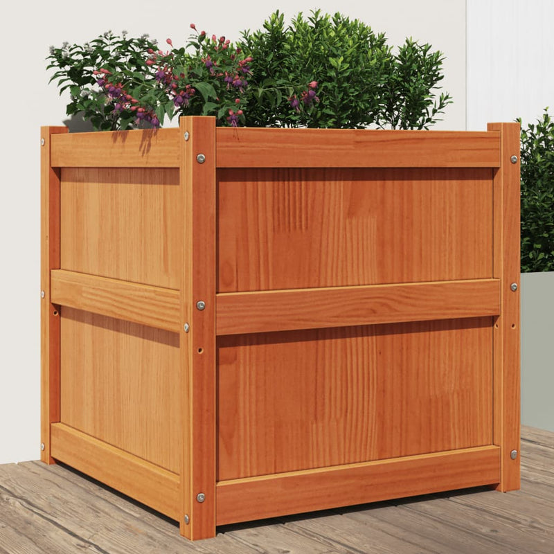 Casella di pianificazione Vidaxl 60x60x60 cm cera di pino solido
