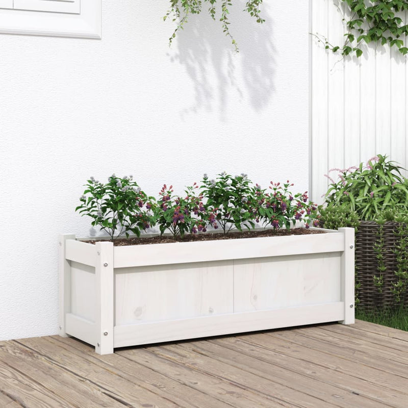 Casella di pianificazione Vidaxl 90x31x31 cm Pino solido