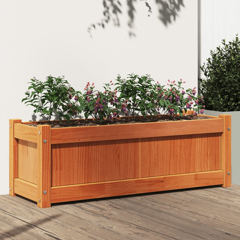 Casella di pianificazione Vidaxl 90x31x31 cm Basco di pino solido marrone