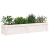 Vidaxl Fioterrs 2 PC CM Solid Pine White