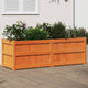 Fioriera Vidaxl 150x50x50 cm Pinna solida marrone