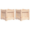 Vidaxl Plantadores 2 PC CM Solid Pine