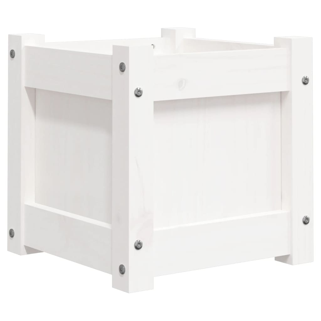 Casella di pianificazione Vidaxl 31x31x31 cm Pino solido