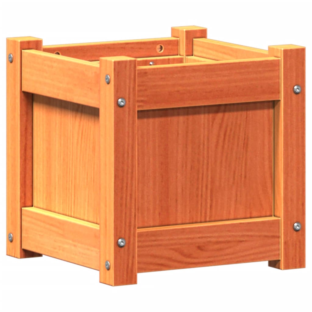 Casella di pianificazione Vidaxl 31x31x31 cm Pinna solida marrone