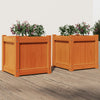 Vidaxl Fioterrs 2 PC CM Solid Pine Wash Brown