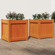 Vidaxl Fioterrs 2 PC CM Solid Pine Wash Brown