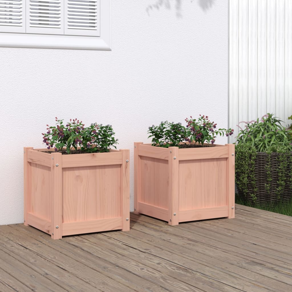 Vidaxl Plantadores 2 PCS Douglhout sólido